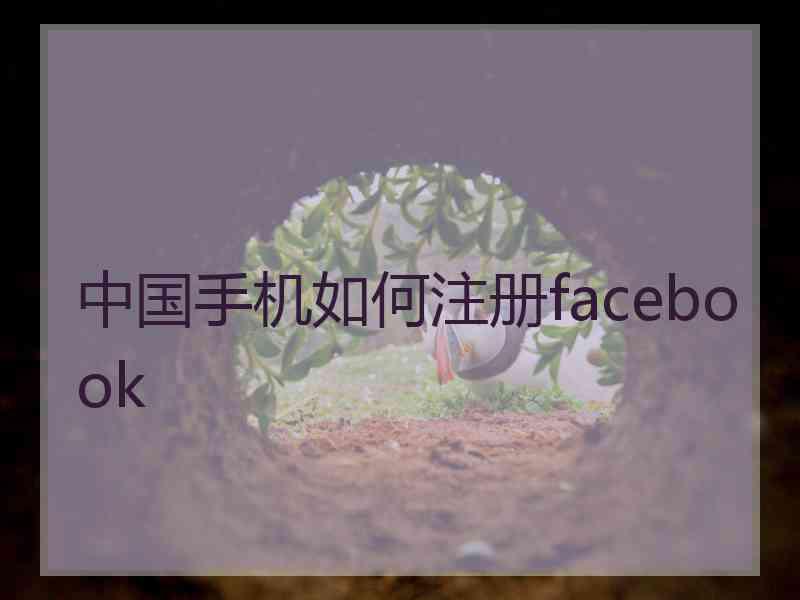 中国手机如何注册facebook