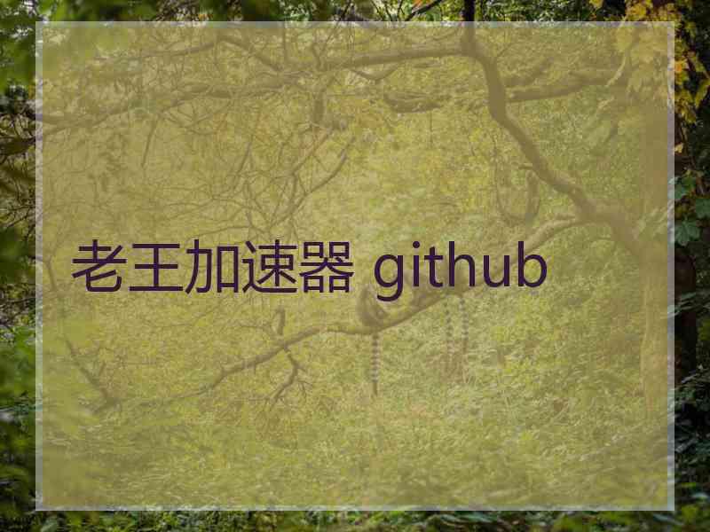 老王加速器 github