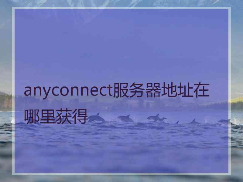 anyconnect服务器地址在哪里获得