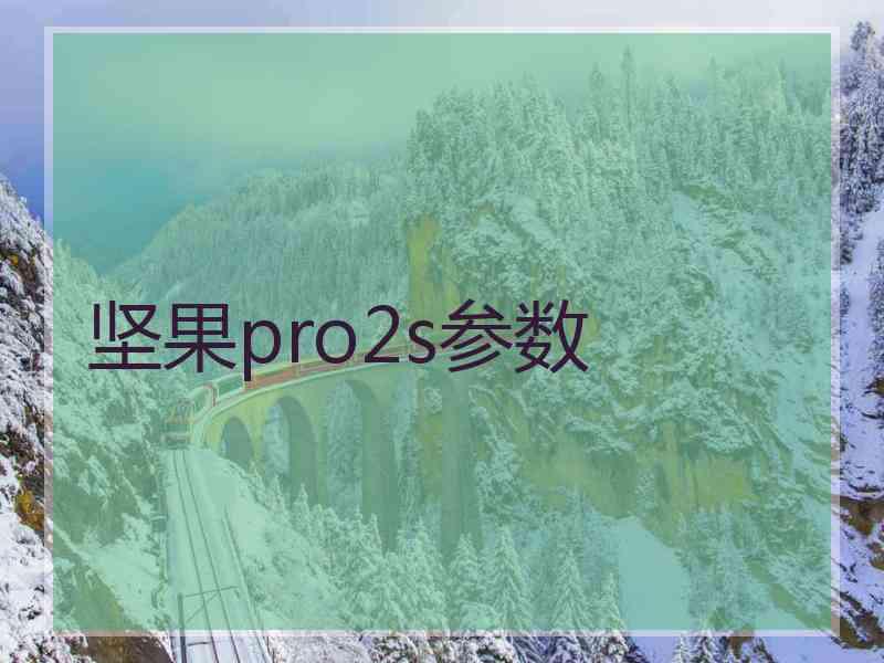 坚果pro2s参数