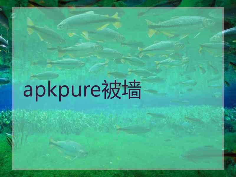 apkpure被墙