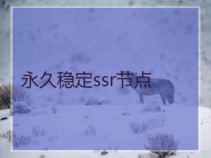 永久稳定ssr节点