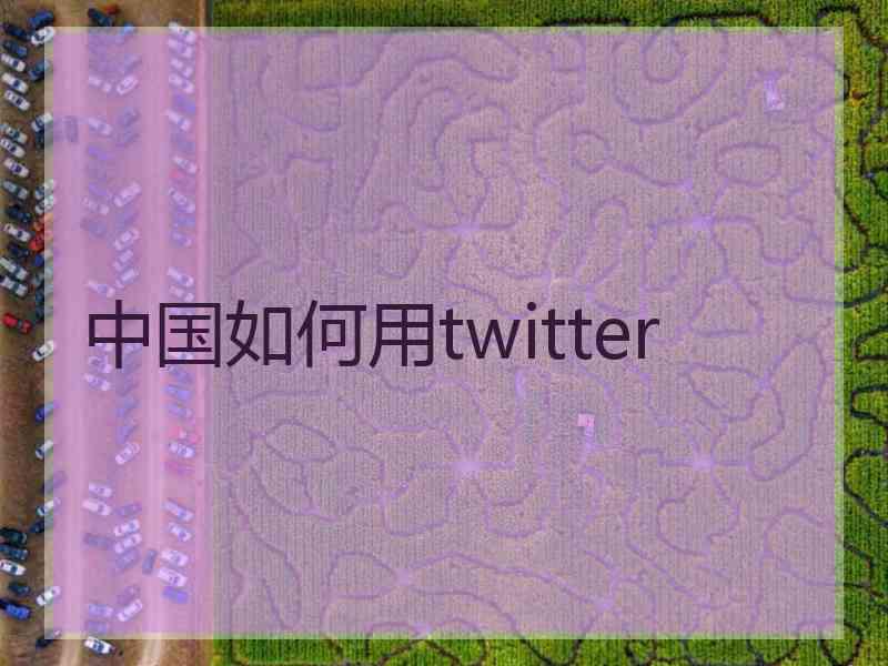 中国如何用twitter