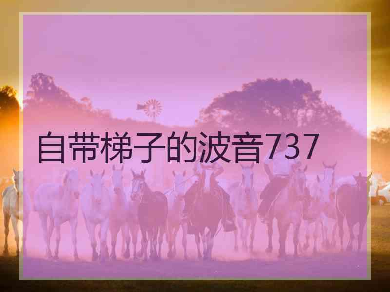 自带梯子的波音737