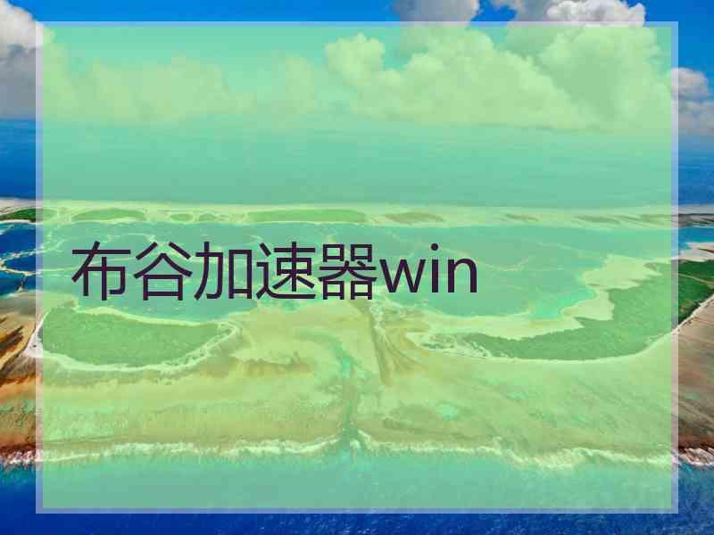 布谷加速器win