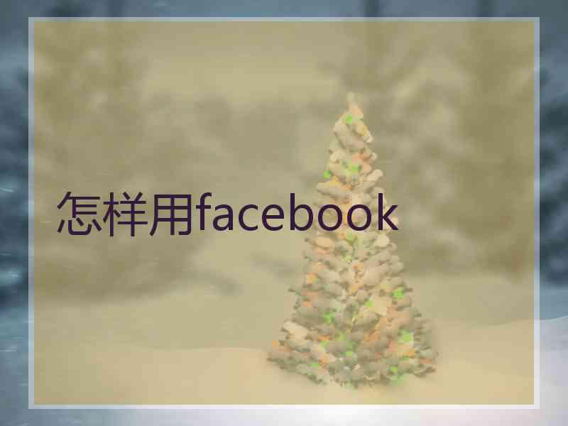 怎样用facebook