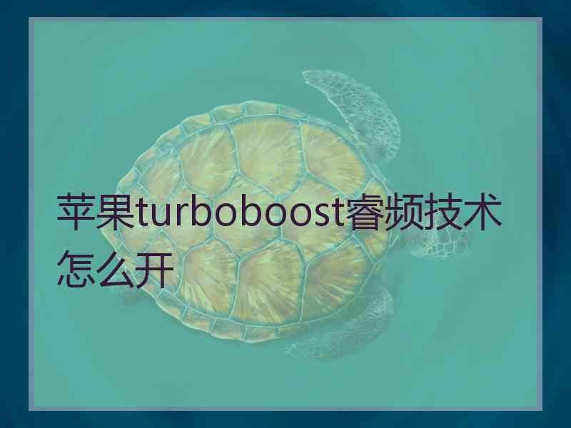 苹果turboboost睿频技术怎么开