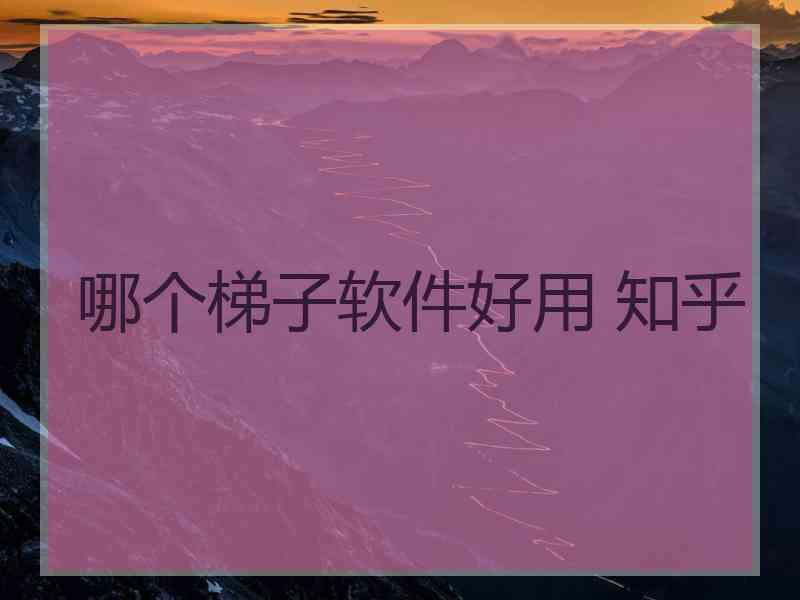 哪个梯子软件好用 知乎