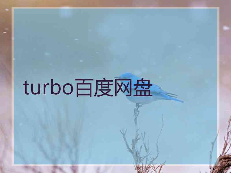 turbo百度网盘