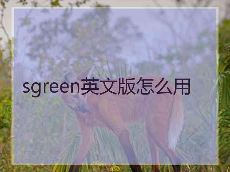 sgreen英文版怎么用