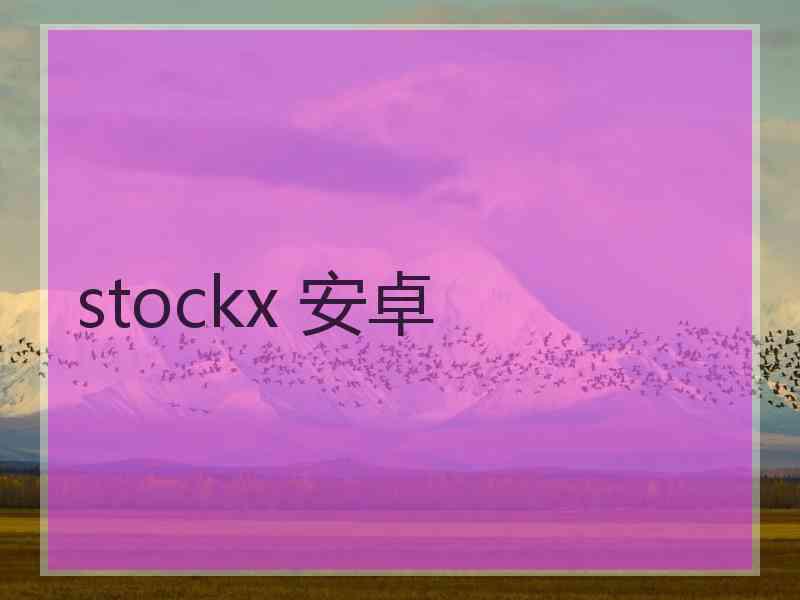 stockx 安卓